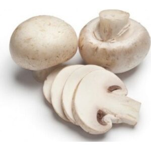 Kültür Mantarı (Kg)