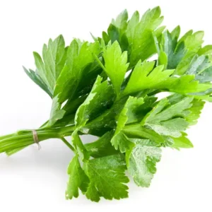 Kişniş / Kinza (Demet)